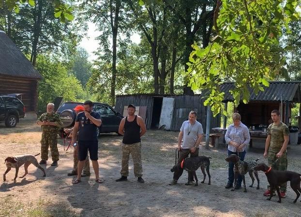 Результаты I Московских областных открытых межпородных состязаний молодых (до 3-х лет) собак легавых пород по болотной и полевой дичи 16-18 июля 2021 года