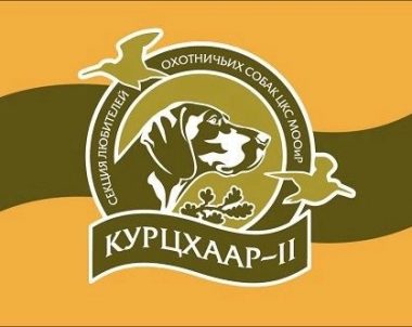 Проект изменений в положении о ежегодном конкурсе