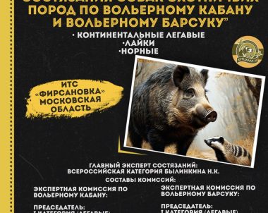 Внимание!!!Открыта запись на легендарные состязания!!!