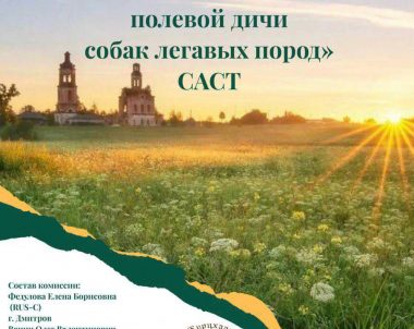 «РЕГИОНАЛЬНЫЕ МЕЖПОРОДНЫЕ СОСТЯЗАНИЯ ПО БОЛОТНОЙ И ПОЛЕВОЙ ДИЧИ СОБАК ЛЕГАВЫХ ПОРОД» РАНГА САСТ 2025 года ИТС «Каданок»