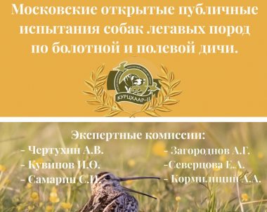 МОСКОВСКИЕ ОБЛАСТНЫЕ ОТКРЫТЫЕ ПУБЛИЧНЫЕ ИСПЫТАНИЯ СОБАК ЛЕГАВЫХ ПОРОД ПО БОЛОТНОЙ И ПОЛЕВОЙ ДИЧИ «ОТКРЫТЫЕ СЕЗОНА 2025»