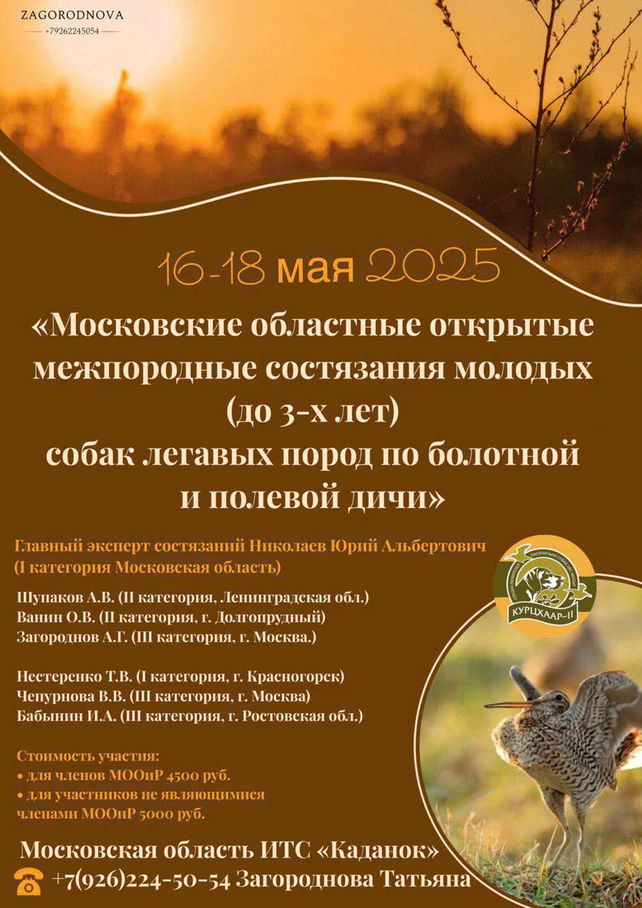 «МОСКОВСКИЕ ОБЛАСТНЫЕ ОТКРЫТЫЕ МЕЖПОРОДНЫЕ СОСТЯЗАНИЯ МОЛОДЫХ (ДО 3-х ЛЕТ) СОБАК ЛЕГАВЫХ ПОРОД ПО БОЛОТНОЙ И ПОЛЕВОЙ ДИЧИ» 2025 года ИТС «Каданок»