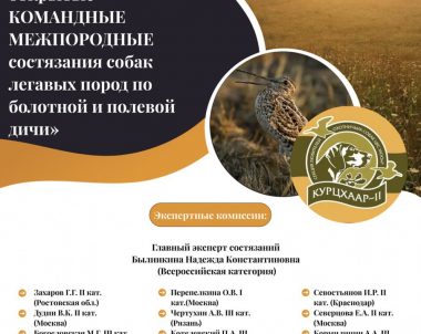 «МОСКОВСКИЕ ОБЛАСТНЫЕ ОТКРЫТЫЕ КОМАНДНЫЕ МЕЖПОРОДНЫЕ СОСТЯЗАНИЯ СОБАК ЛЕГАВЫХ ПОРОД ПО БОЛОТНОЙ И ПОЛЕВОЙ ДИЧИ» 2025 года ИТС «Каданок»