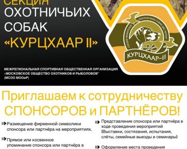 Приглашаем к сотрудничеству!